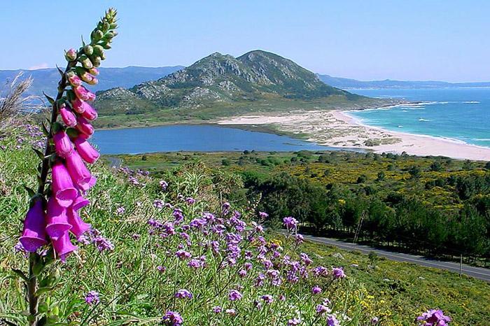 Hostal Solymar San Francisco  Zewnętrze zdjęcie